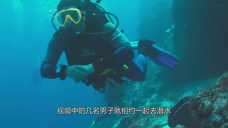 拳王梅威瑟的意外饮食习惯：从不排斥垃圾食品