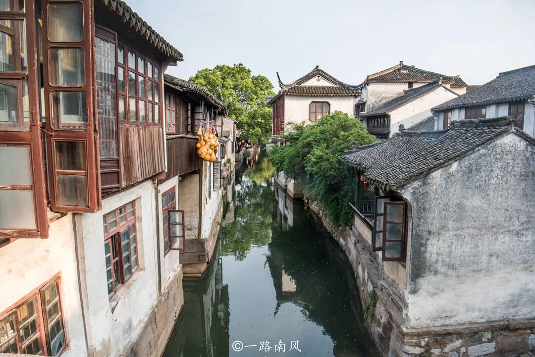 鸡蛋和芋头能一起吃吗游戏画面